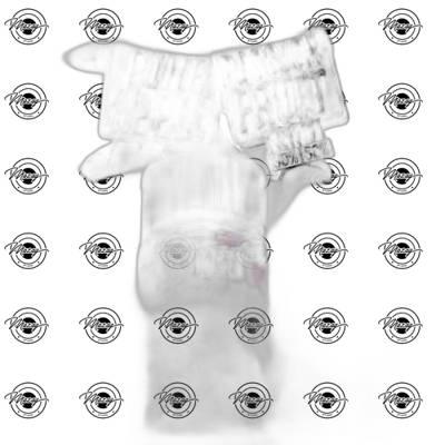 اناناس باشون فروت KAIRO PINE PASSIONFRUIT SALT