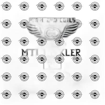 CAPTIN COIL HECKLER MTL